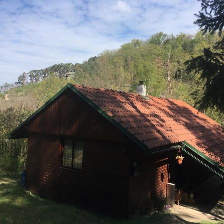Chata U Certovych Hlav Villa Zelizy Ngoại thất bức ảnh